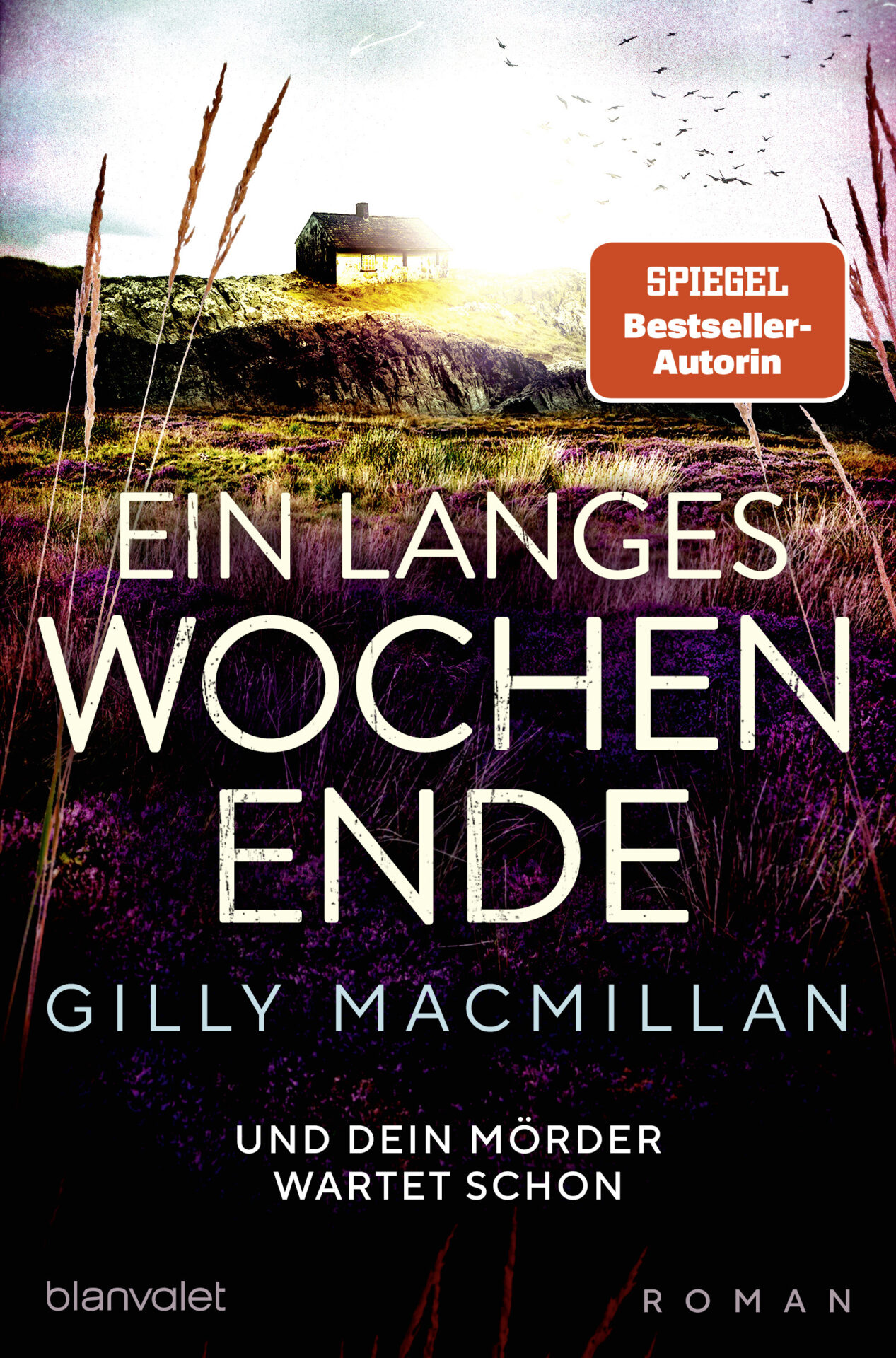 Cover. Ein langes Wochenende von Gilly Macmillan